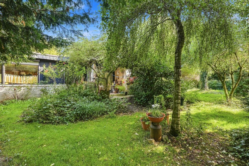 Naturgarten des Bungalows in Henstedt-Ulzburg mit altem Baumbestand und Blick auf das Haus.
